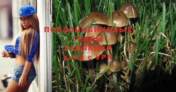 spice Богданович