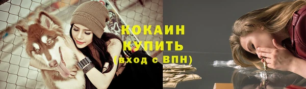 PSILOCYBIN Белокуриха