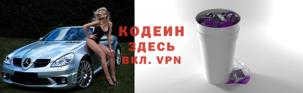 spice Богданович