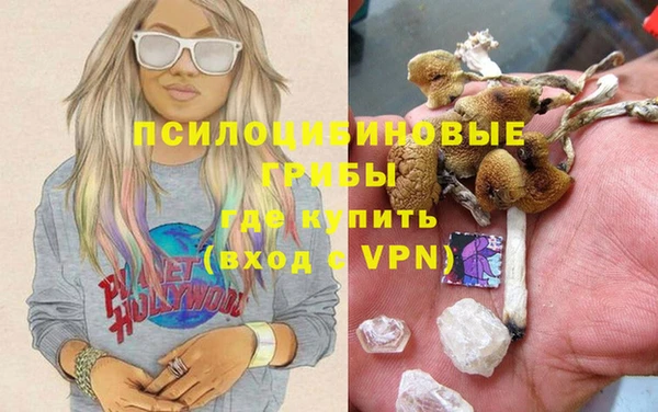 spice Богданович