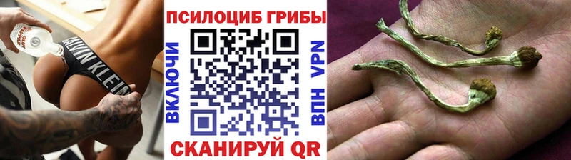 Псилоцибиновые грибы мухоморы  блэк спрут как войти  Высоцк  магазин продажи наркотиков 